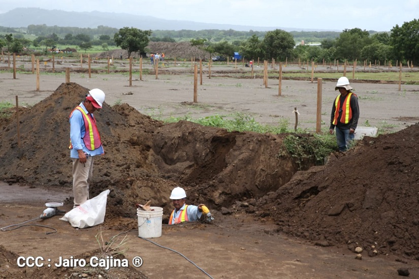 lotes1